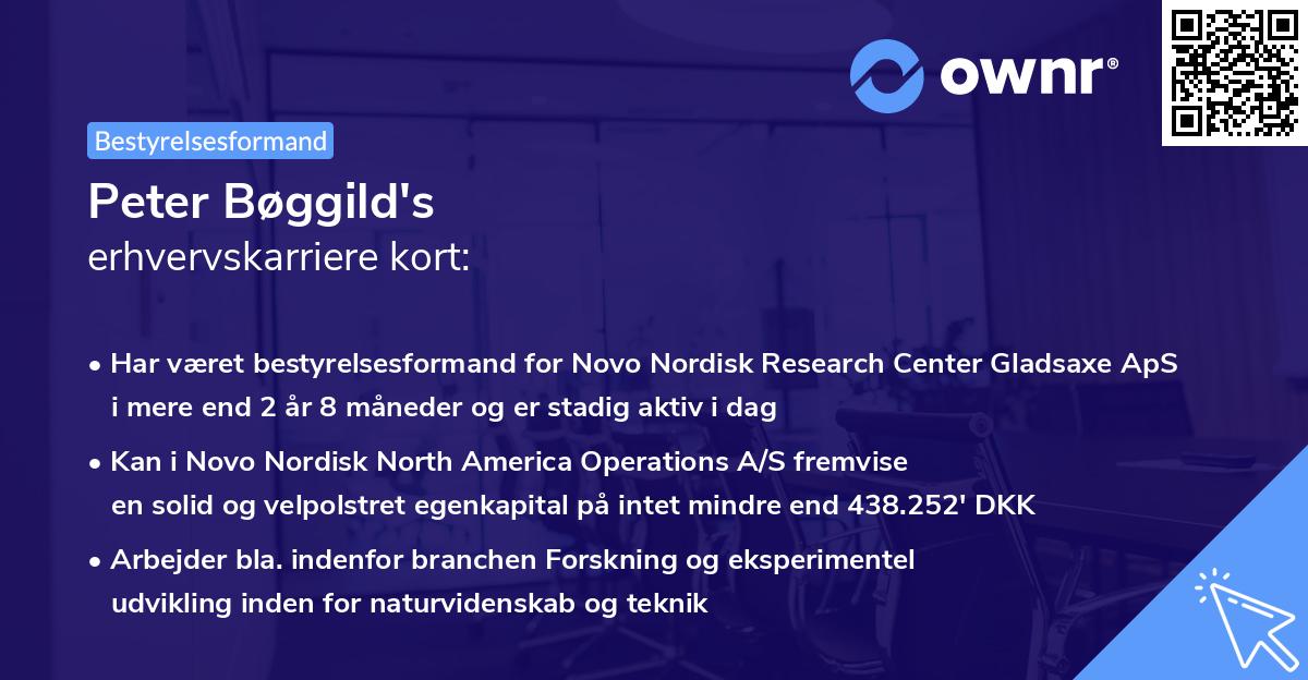 Peter Bøggild's erhvervskarriere kort