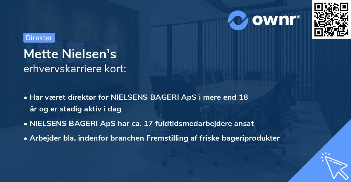 Mette Nielsen's erhvervskarriere kort