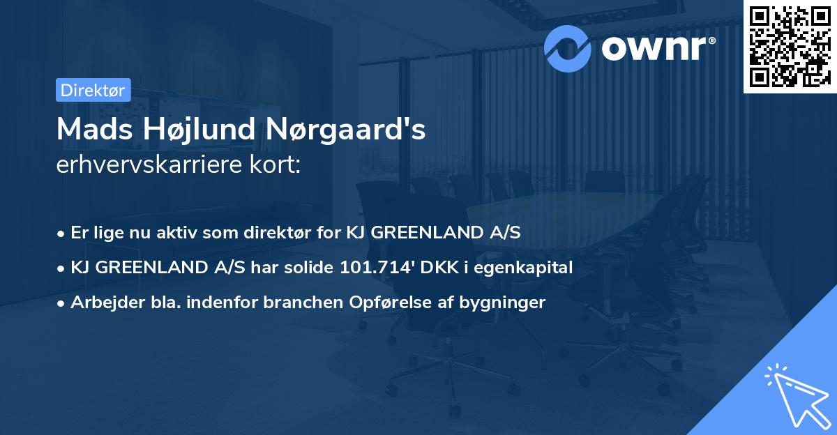 Mads Højlund Nørgaard's erhvervskarriere kort