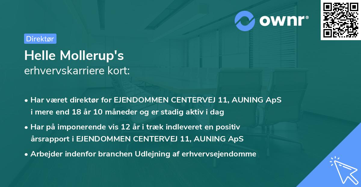Helle Mollerup's erhvervskarriere kort