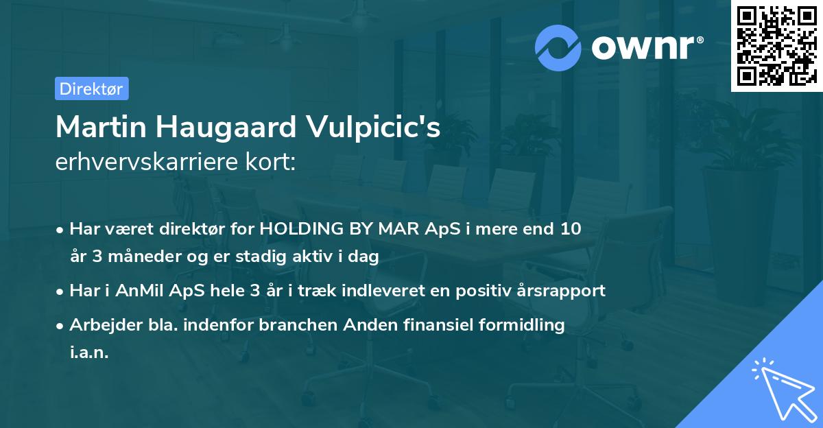 Martin Haugaard Vulpicic's erhvervskarriere kort