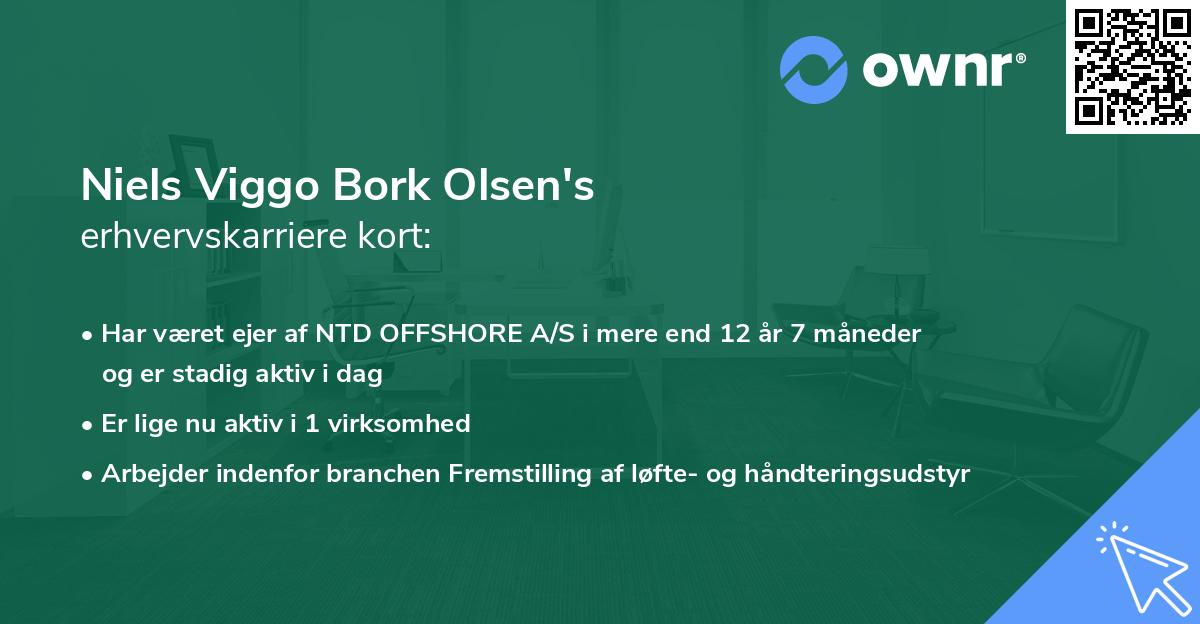 Niels Viggo Bork Olsen's erhvervskarriere kort