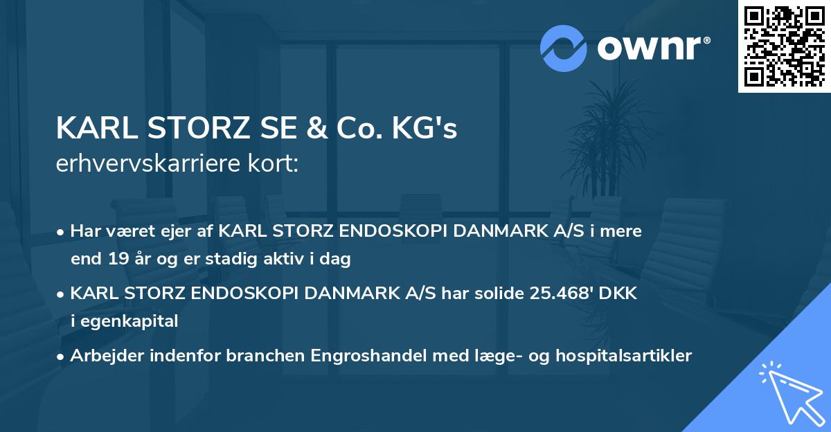 KARL STORZ SE & Co. KG's erhvervskarriere kort