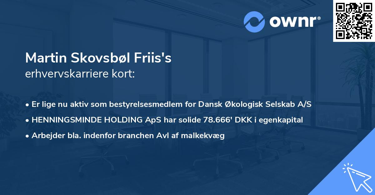 Martin Skovsbøl Friis's erhvervskarriere kort