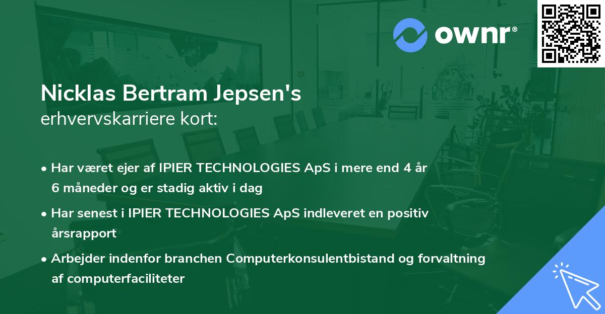 Nicklas Bertram Jepsen's erhvervskarriere kort