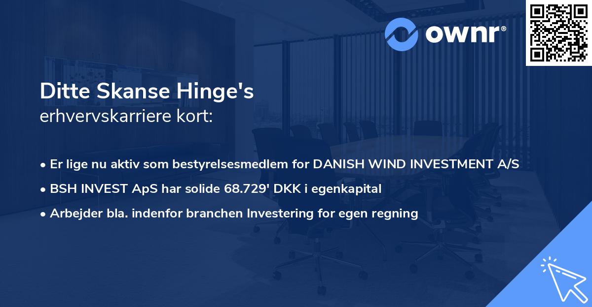 Ditte Skanse Hinge's erhvervskarriere kort