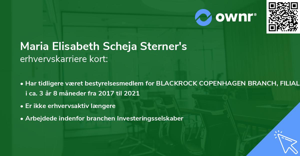 Maria Elisabeth Scheja Sterner's erhvervskarriere kort