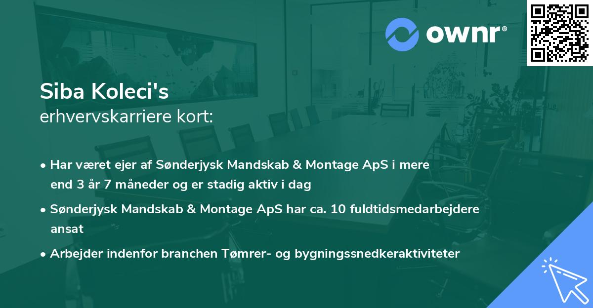 Siba Koleci's erhvervskarriere kort