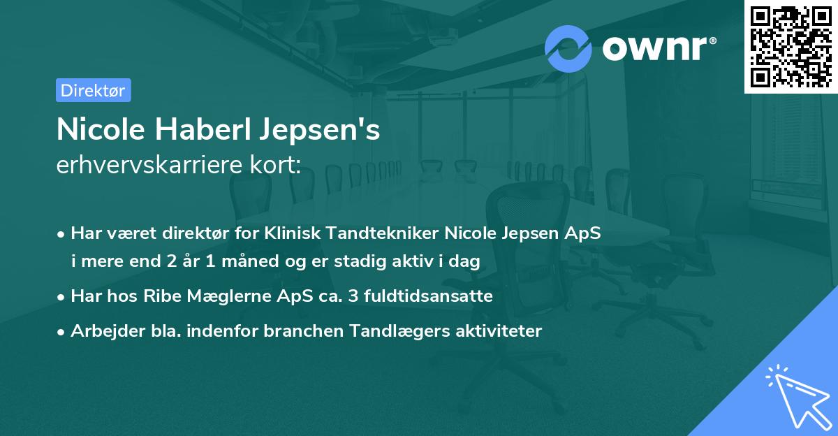 Nicole Haberl Jepsen's erhvervskarriere kort