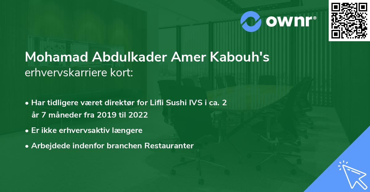 Mohamad Abdulkader Amer Kabouh's erhvervskarriere kort