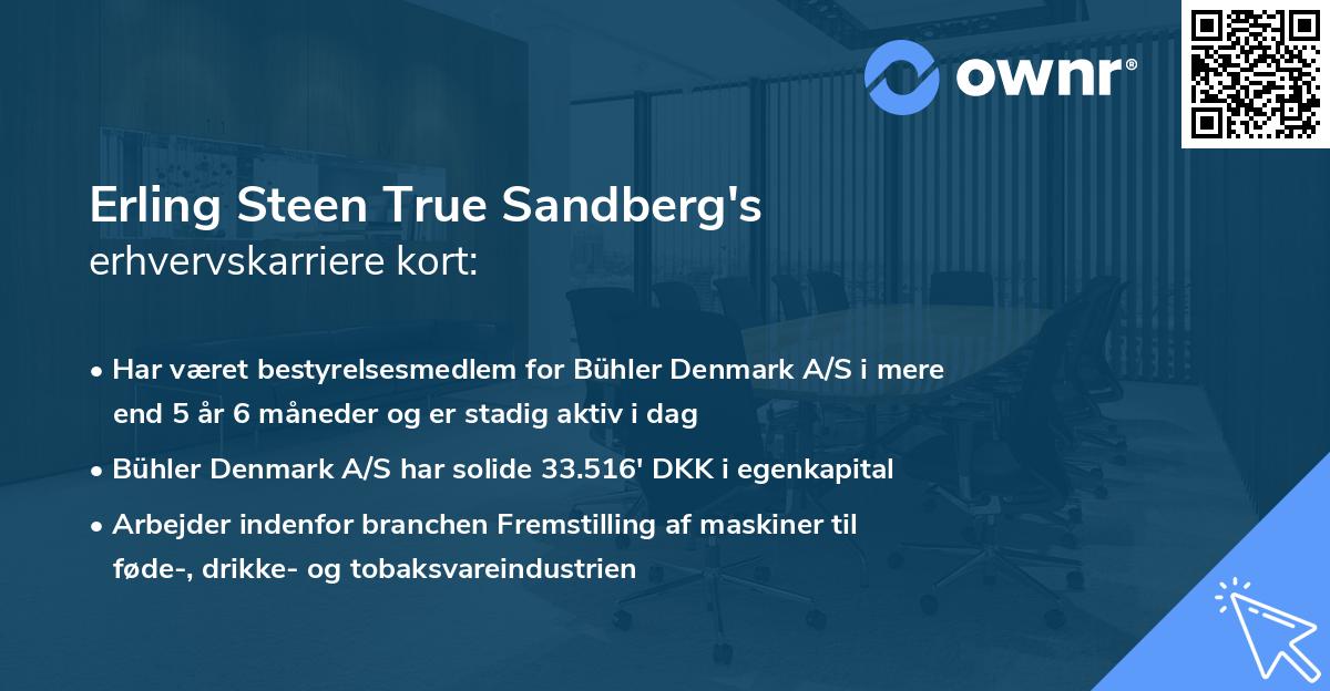 Erling Steen True Sandberg's erhvervskarriere kort