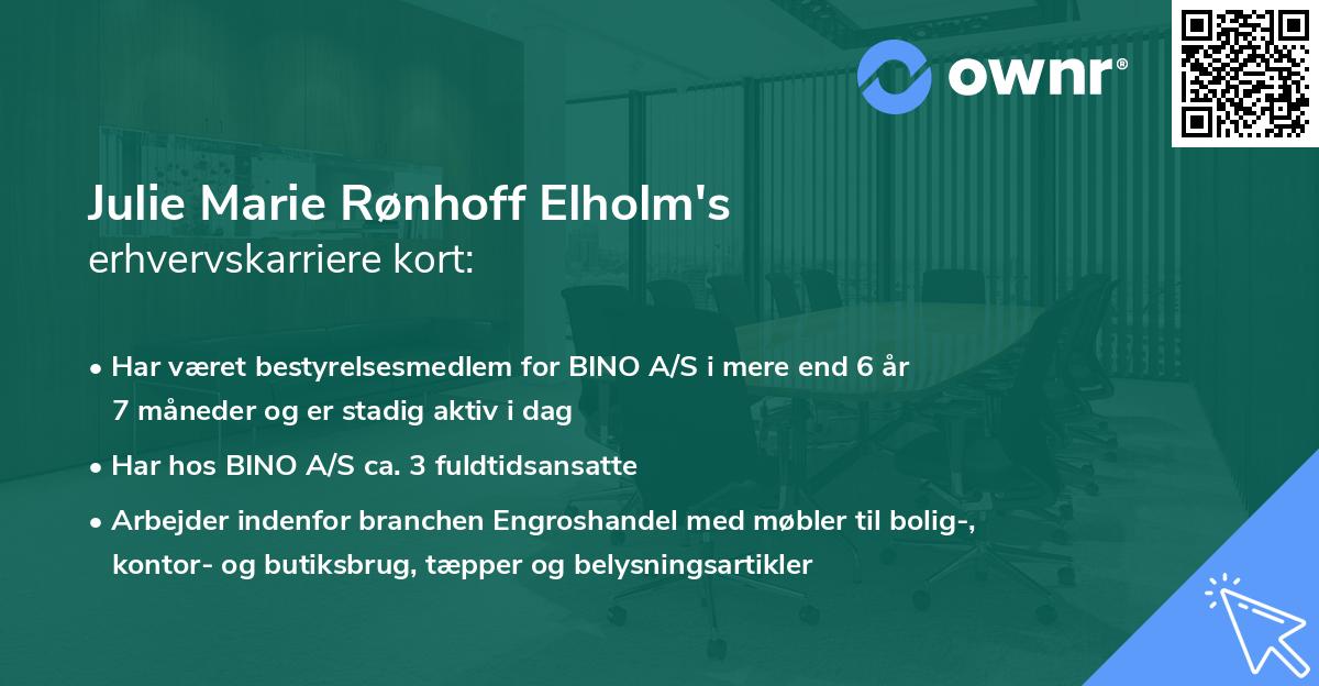 Julie Marie Rønhoff Elholm's erhvervskarriere kort