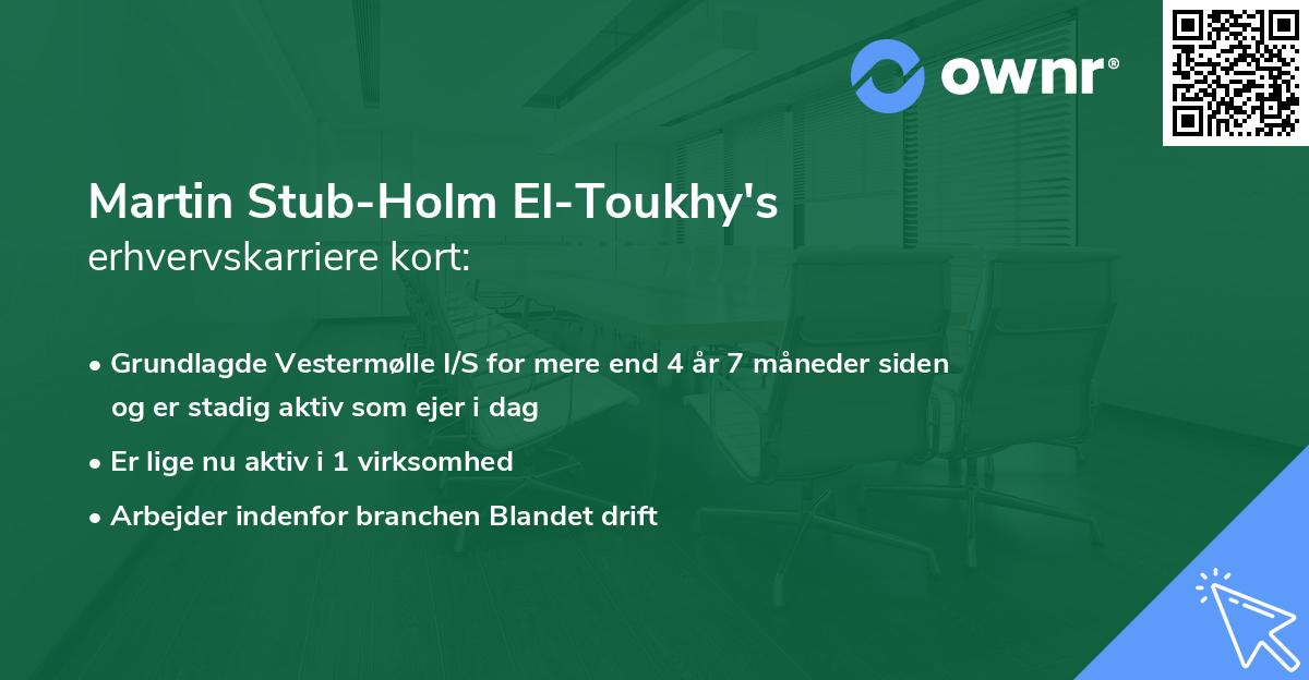 Martin Stub-Holm El-Toukhy's erhvervskarriere kort