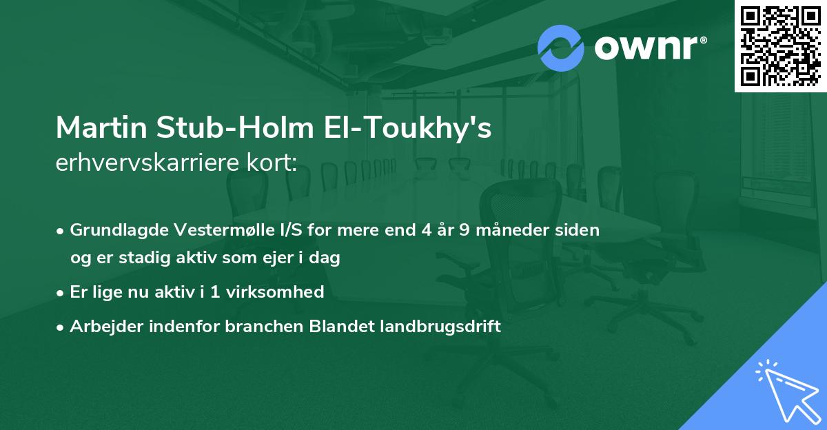 Martin Stub-Holm El-Toukhy's erhvervskarriere kort