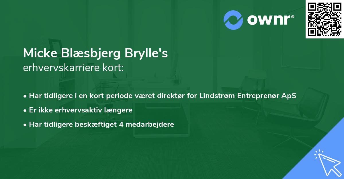 Micke Blæsbjerg Brylle's erhvervskarriere kort