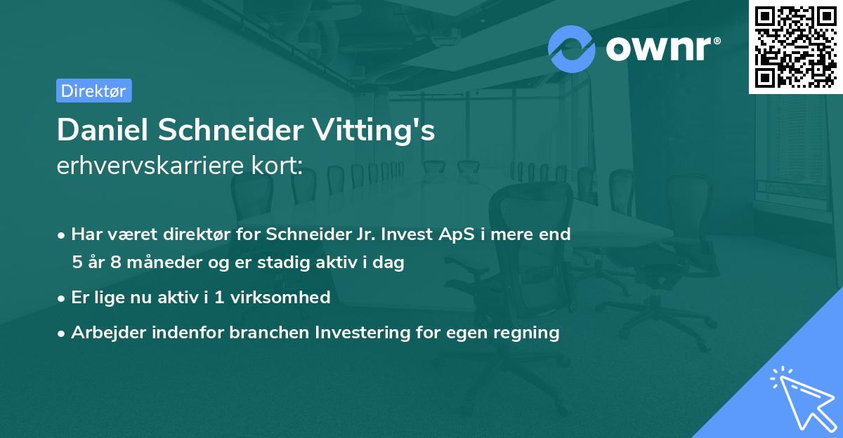 Daniel Schneider Vitting's erhvervskarriere kort