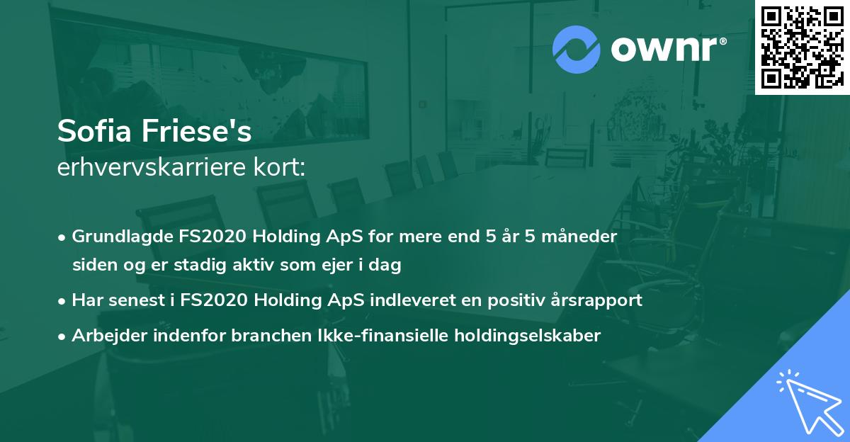Sofia Friese's erhvervskarriere kort