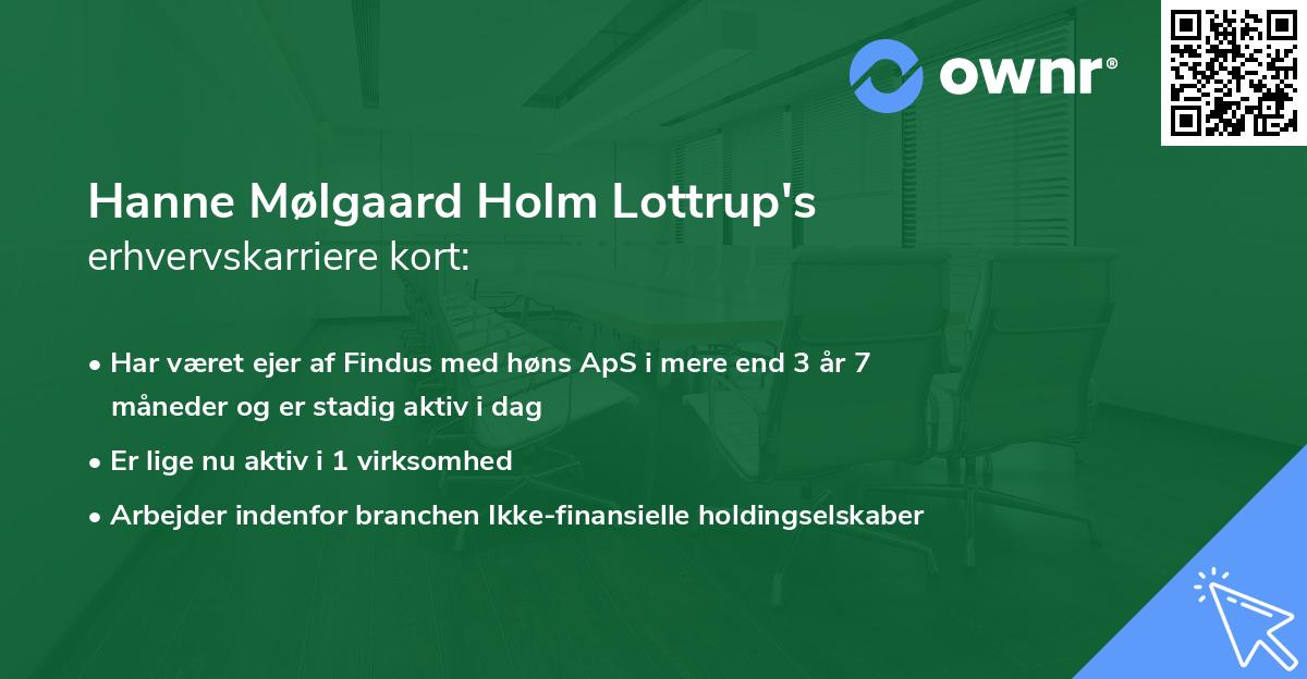 Hanne Mølgaard Holm Lottrup's erhvervskarriere kort