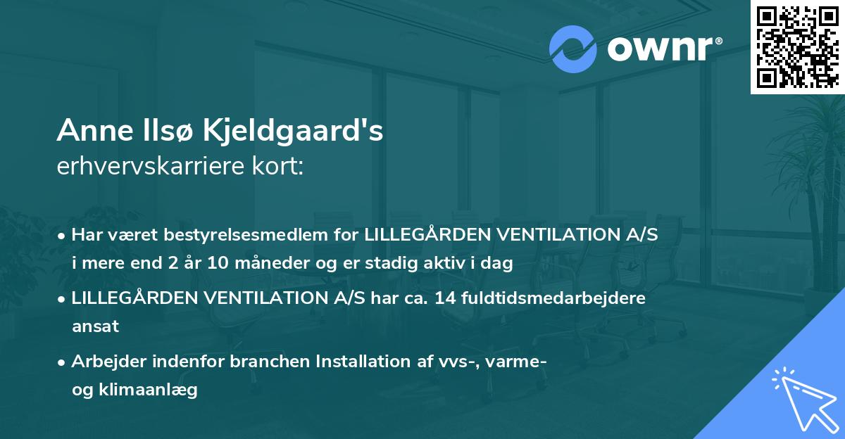 Anne Ilsø Kjeldgaard's erhvervskarriere kort