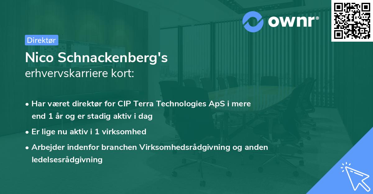 Nico Schnackenberg's erhvervskarriere kort