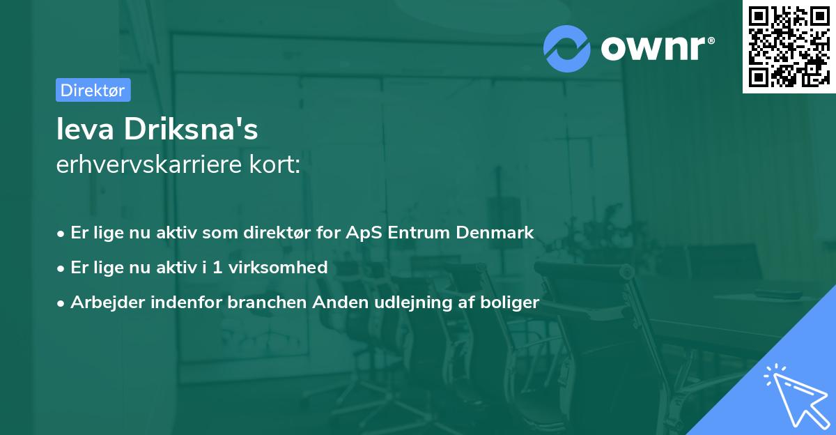 Ieva Driksna's erhvervskarriere kort
