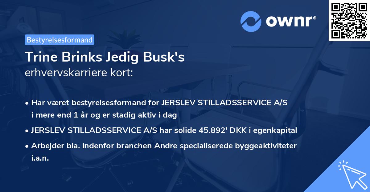 Trine Brinks Jedig Busk's erhvervskarriere kort
