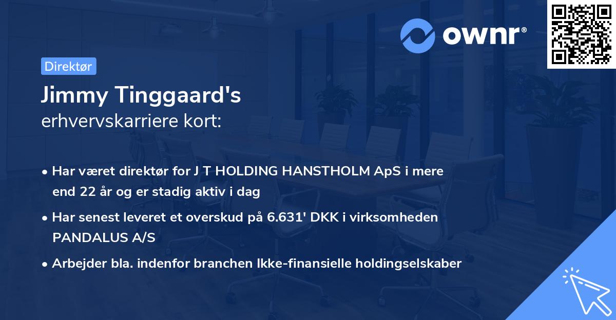 Jimmy Tinggaard's erhvervskarriere kort