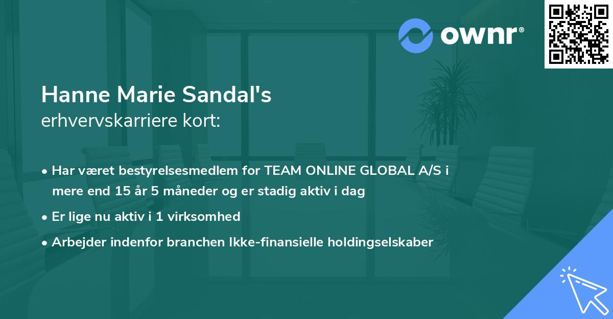 Hanne Marie Sandal's erhvervskarriere kort