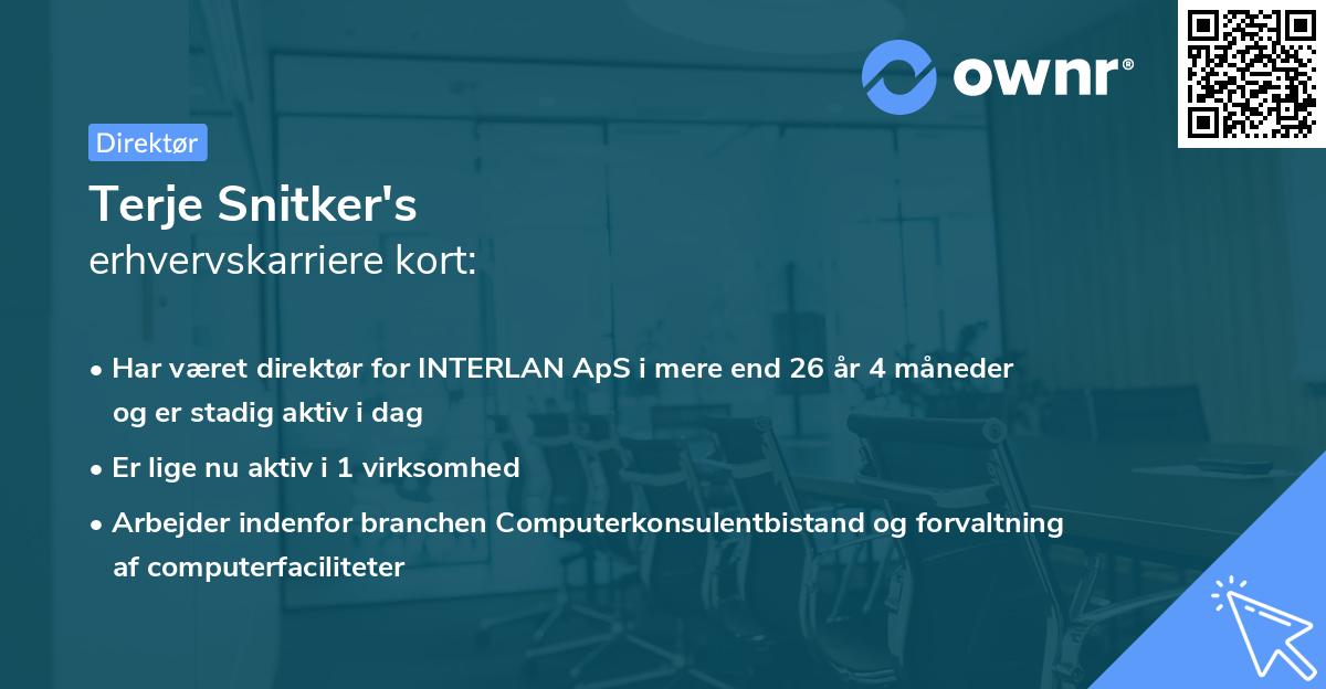 Terje Snitker's erhvervskarriere kort
