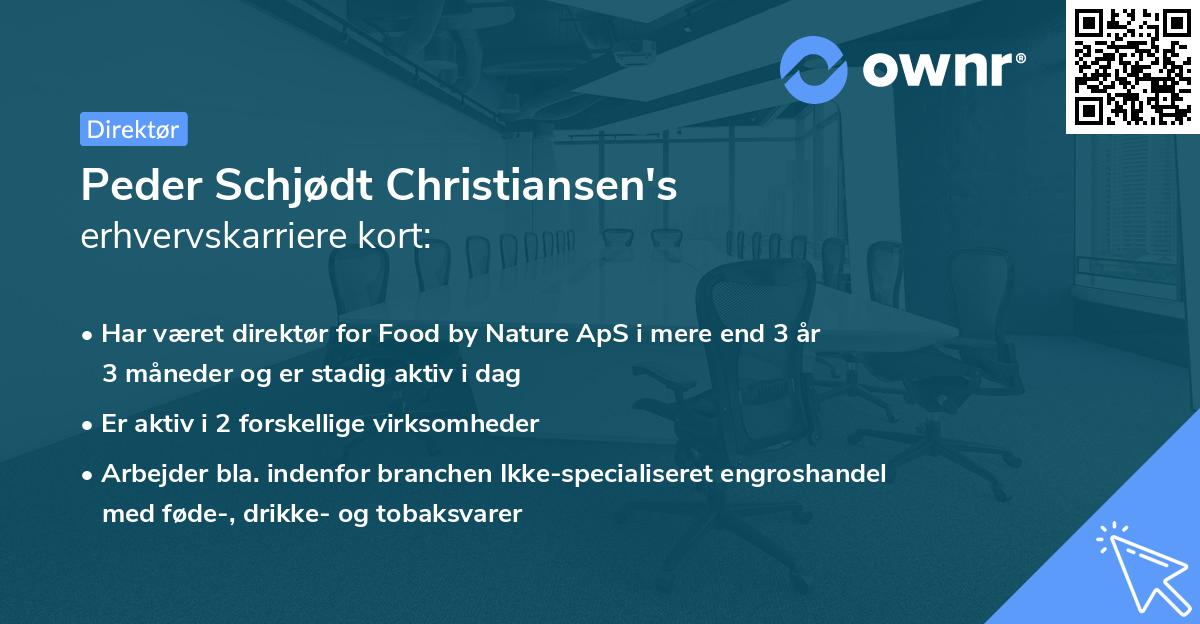 Peder Schjødt Christiansen's erhvervskarriere kort