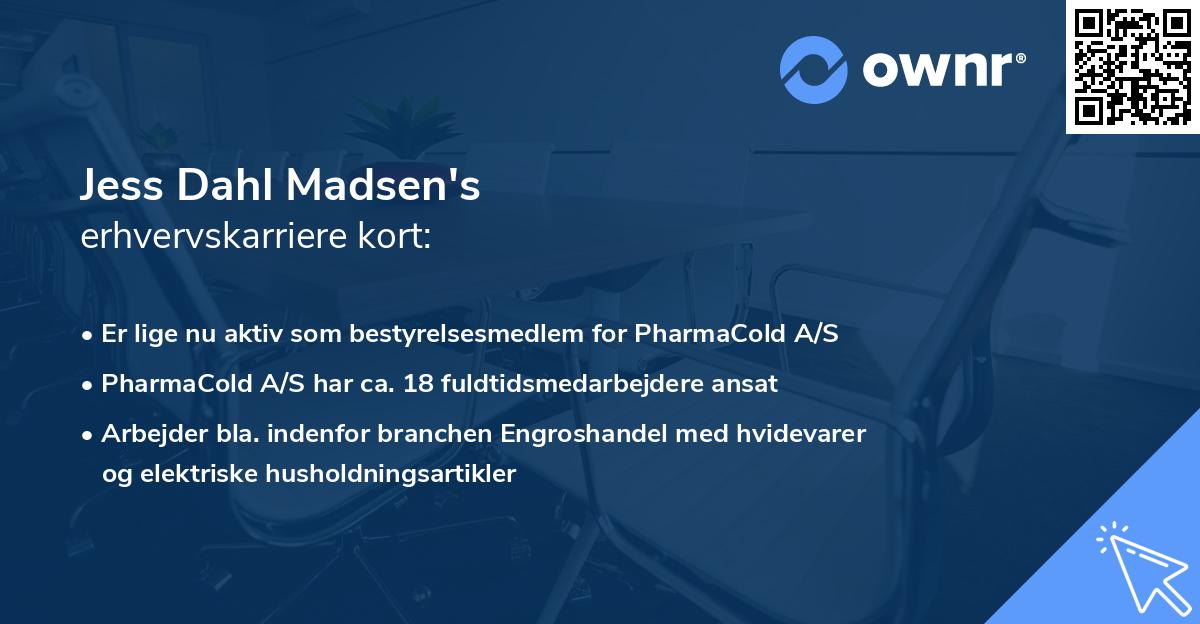 Jess Dahl Madsen's erhvervskarriere kort