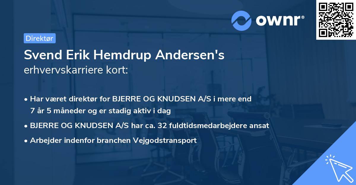 Svend Erik Hemdrup Andersen's erhvervskarriere kort