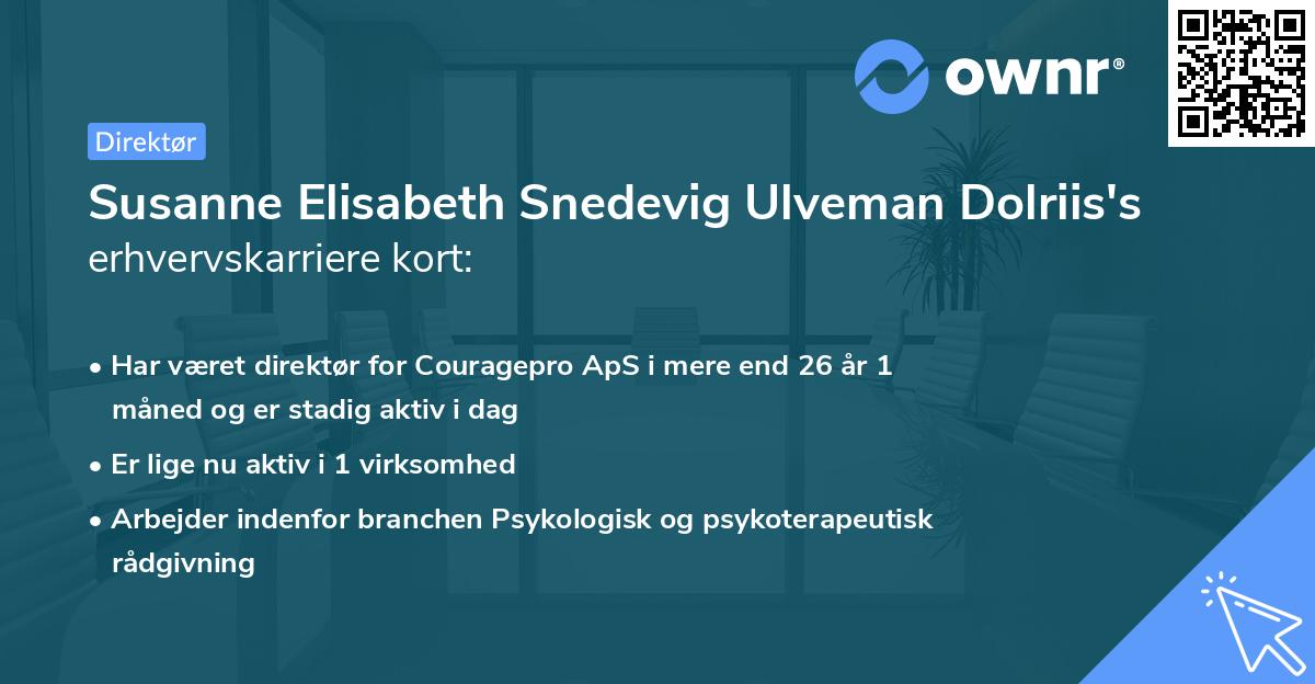 Susanne Elisabeth Snedevig Ulveman Dolriis's erhvervskarriere kort