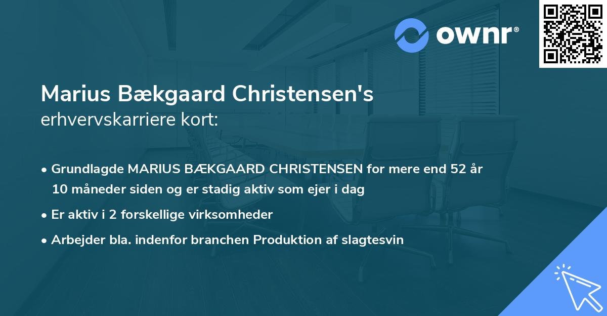 Marius Bækgaard Christensen's erhvervskarriere kort