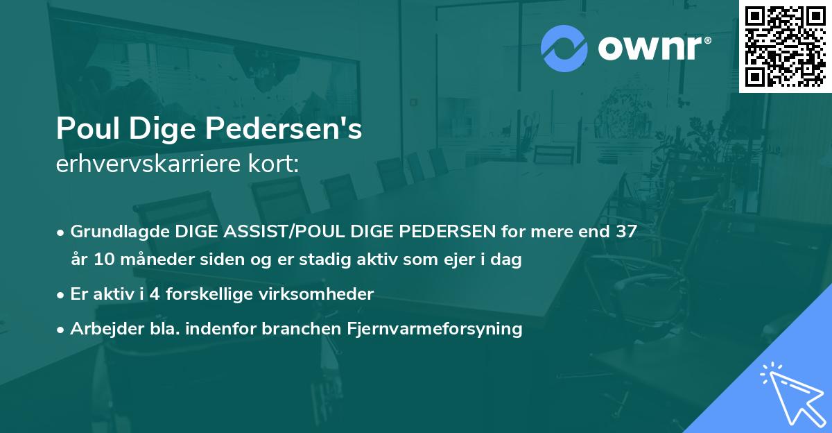 Poul Dige Pedersen's erhvervskarriere kort