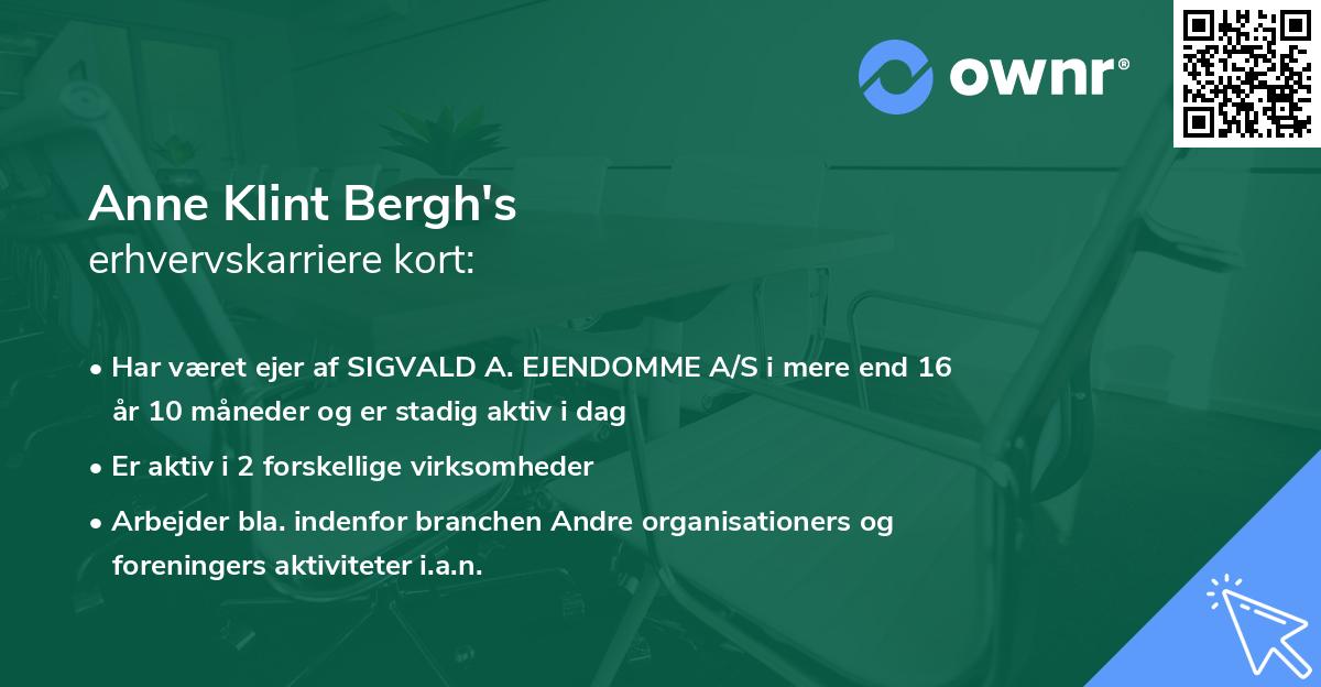 Anne Klint Bergh's erhvervskarriere kort
