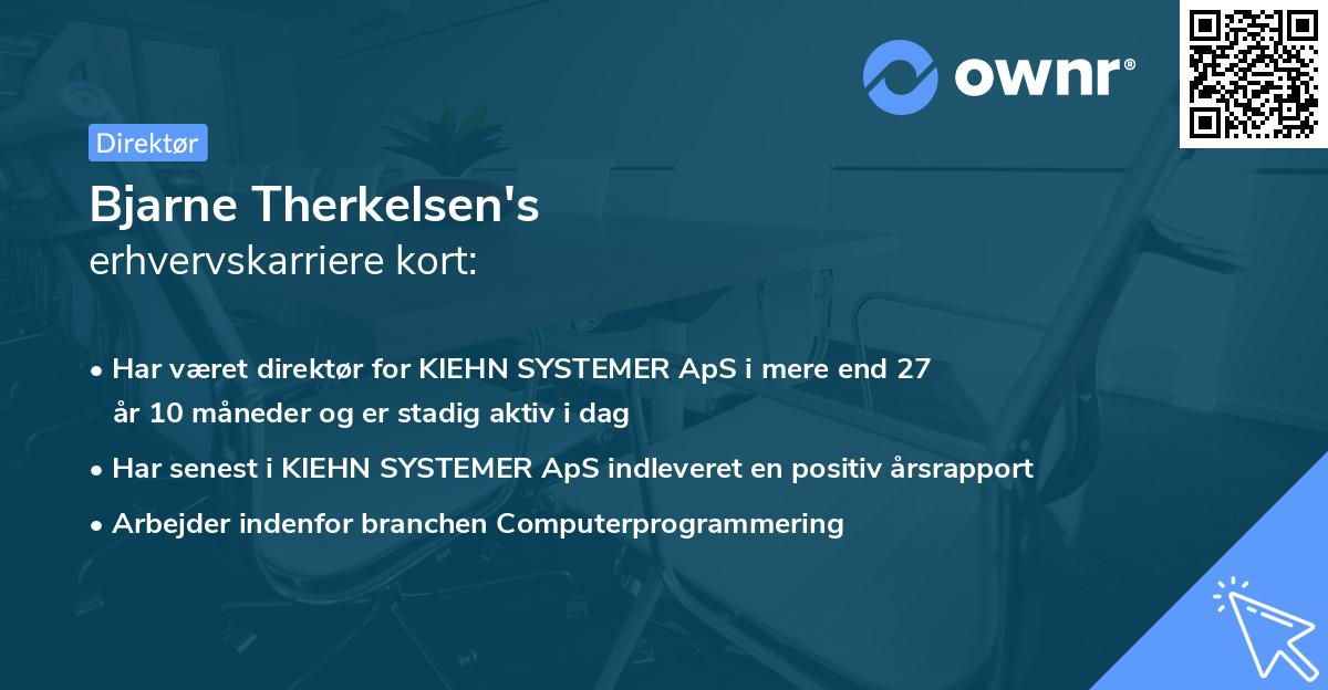 Bjarne Therkelsen's erhvervskarriere kort