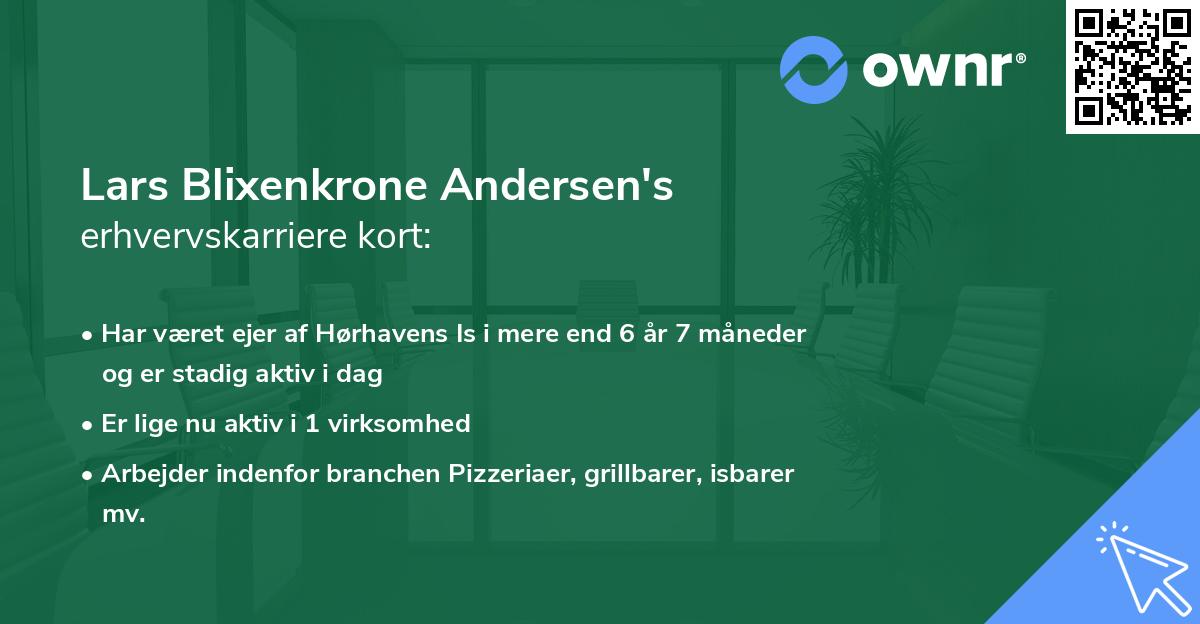 Lars Blixenkrone Andersen's erhvervskarriere kort