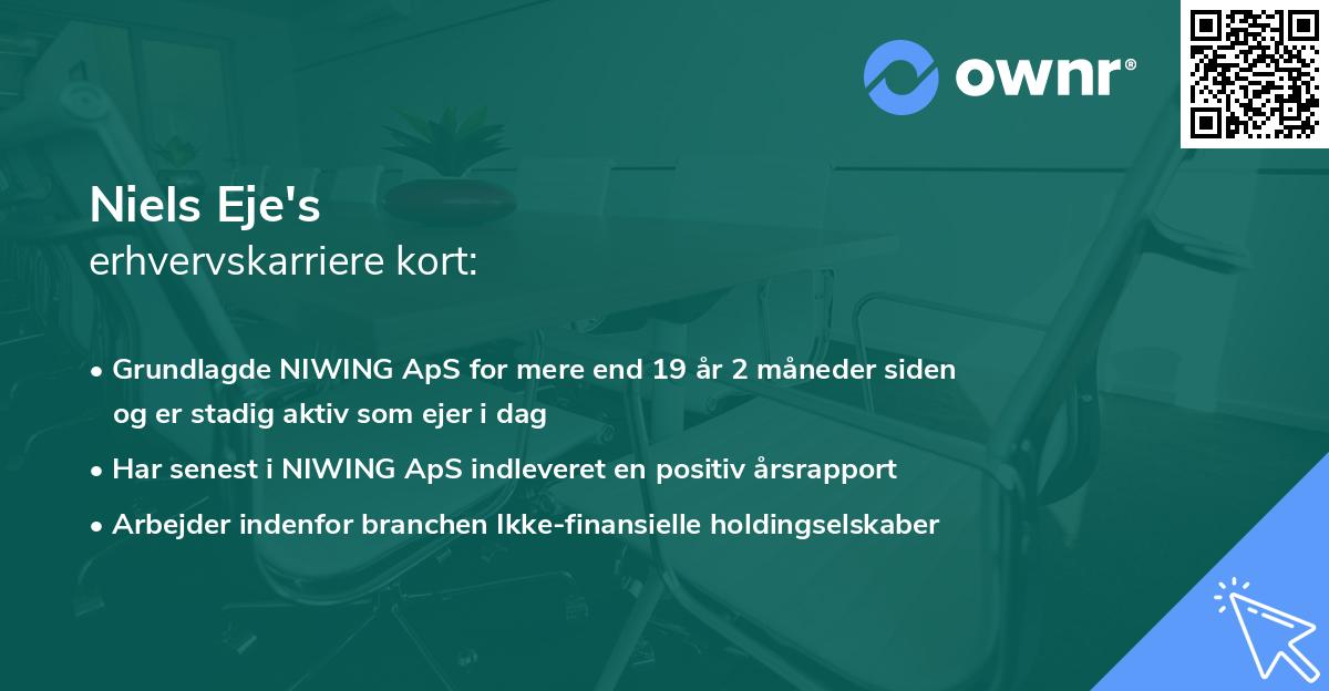 Niels Eje's erhvervskarriere kort