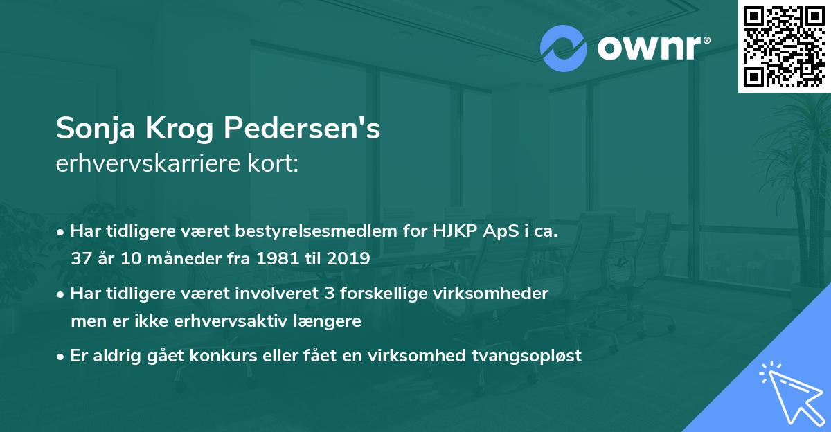Sonja Krog Pedersen's erhvervskarriere kort