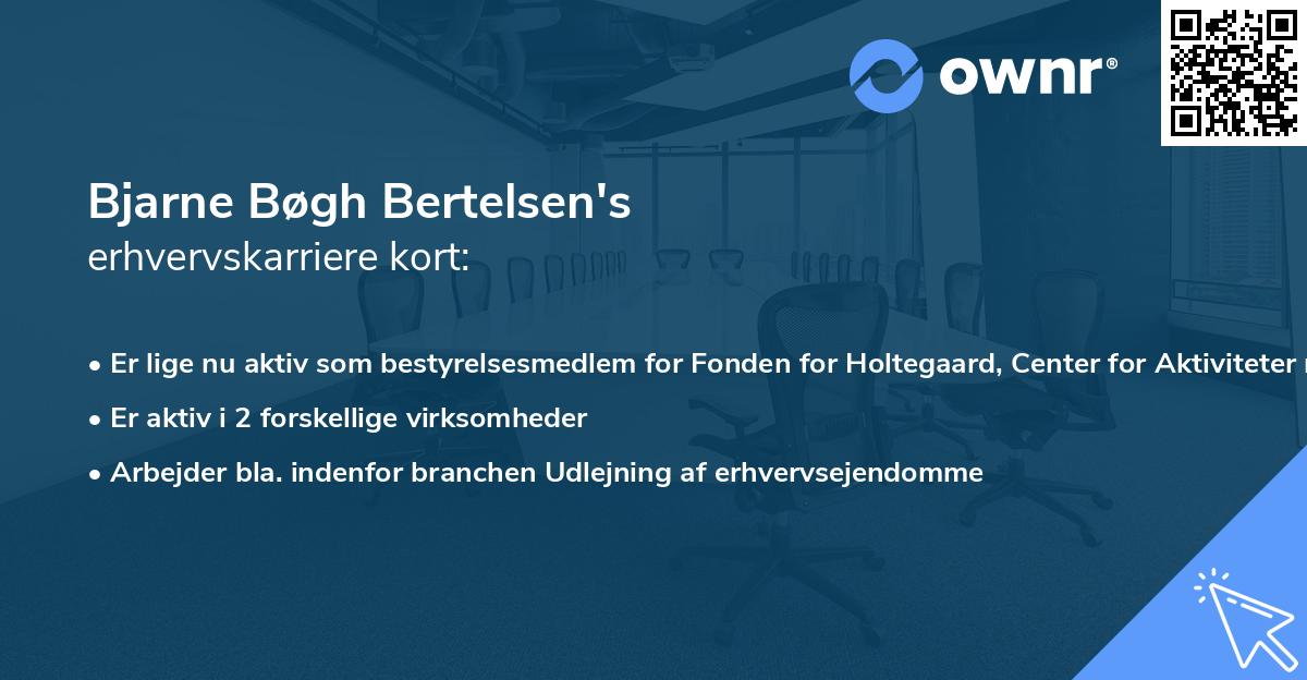 Bjarne Bøgh Bertelsen's erhvervskarriere kort