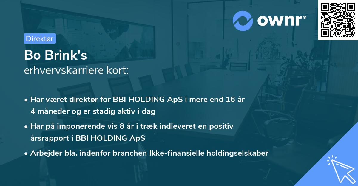 Bo Brink's erhvervskarriere kort