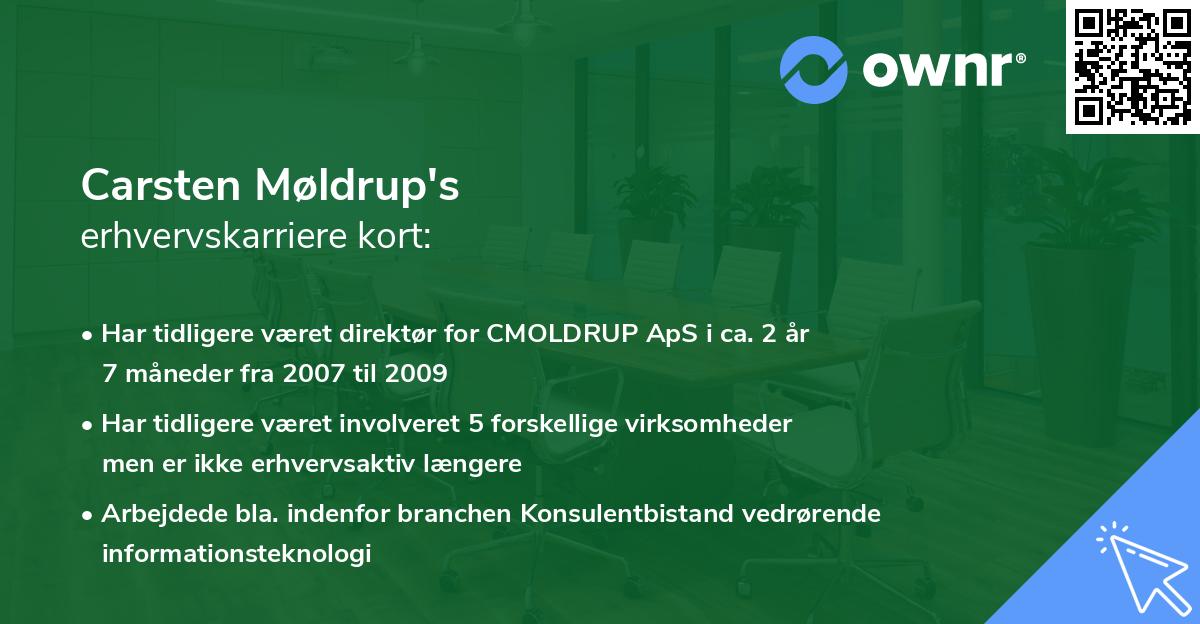 Carsten Møldrup's erhvervskarriere kort