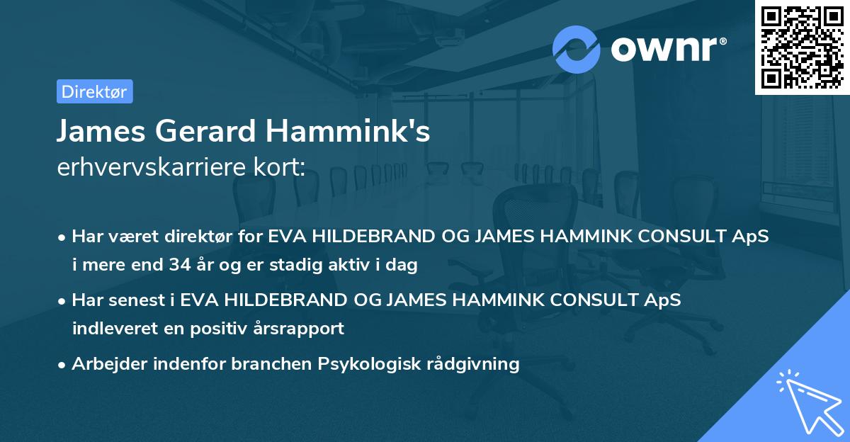 James Gerard Hammink's erhvervskarriere kort