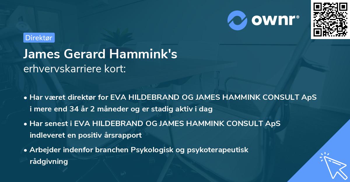 James Gerard Hammink's erhvervskarriere kort