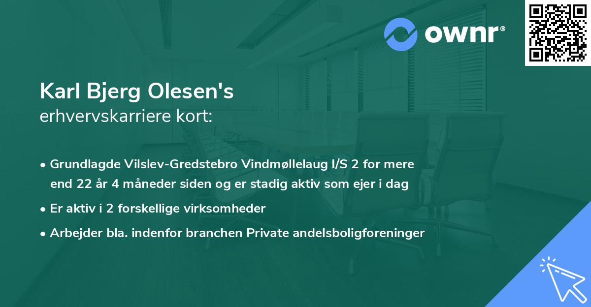 Karl Bjerg Olesen's erhvervskarriere kort