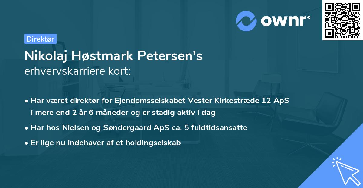 Nikolaj Høstmark Petersen's erhvervskarriere kort