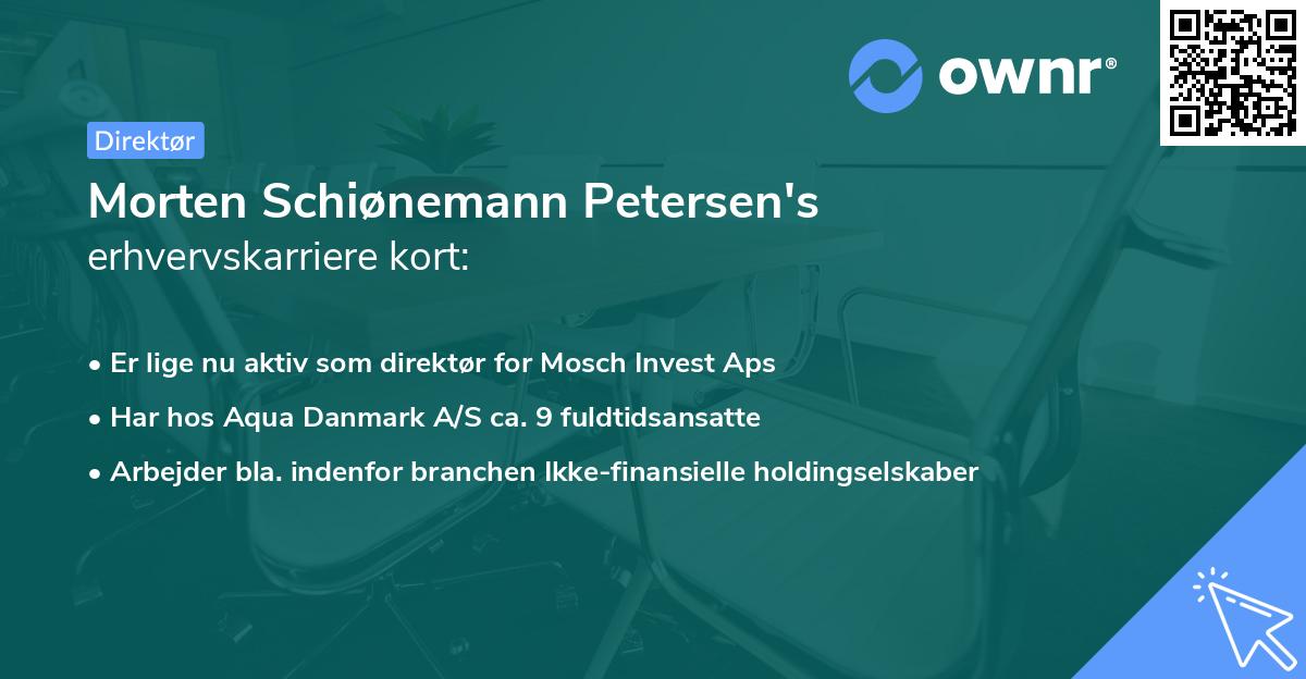 Morten Schiønemann Petersen's erhvervskarriere kort