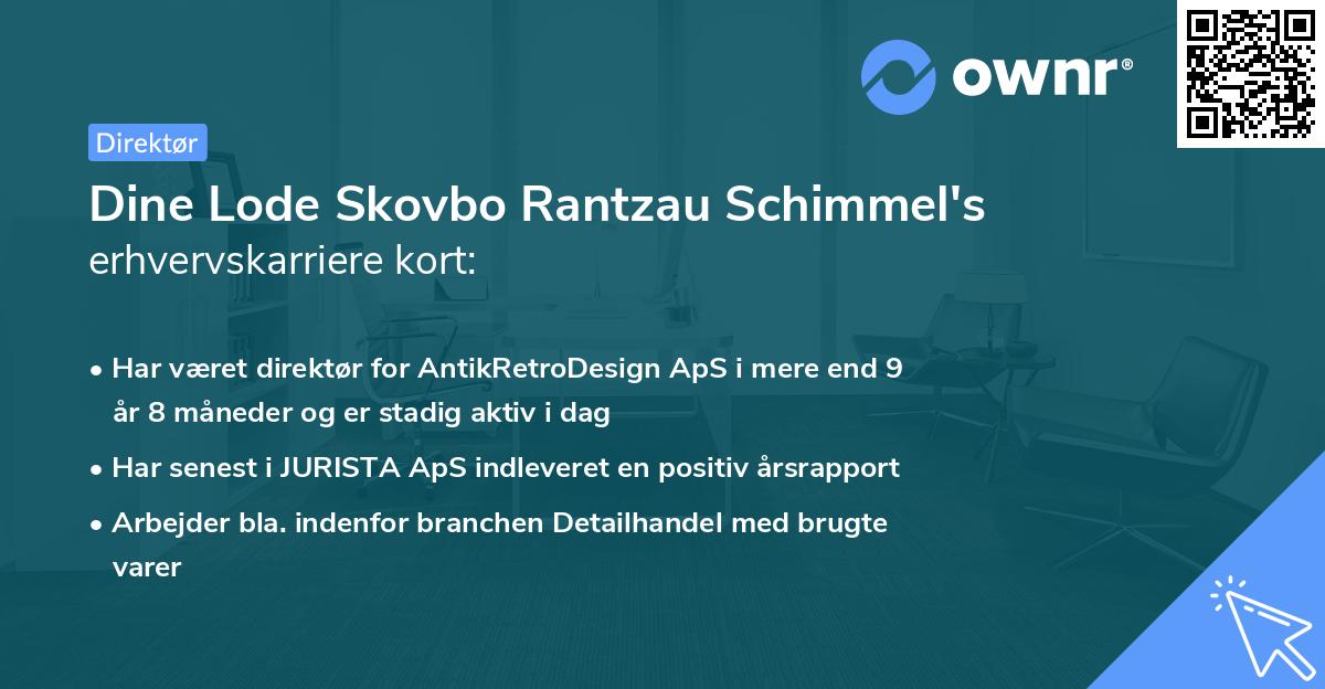 Dine Lode Skovbo Rantzau Schimmel's erhvervskarriere kort
