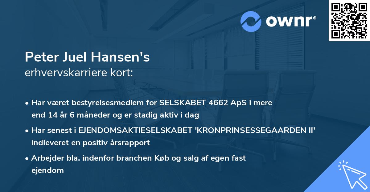Peter Juel Hansen's erhvervskarriere kort